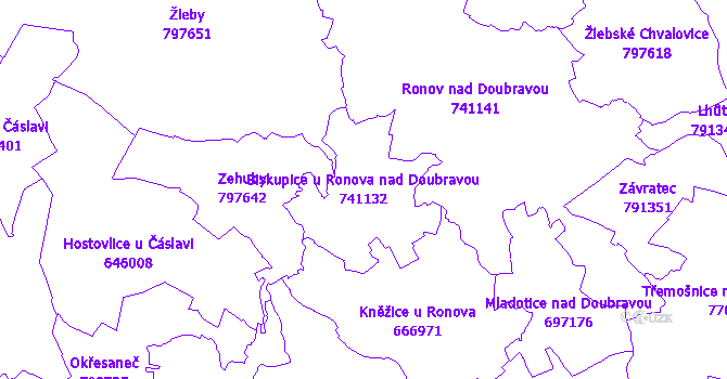 Katastrální mapa Biskupice u Ronova nad Doubravou - přehledová mapa katastrálního území