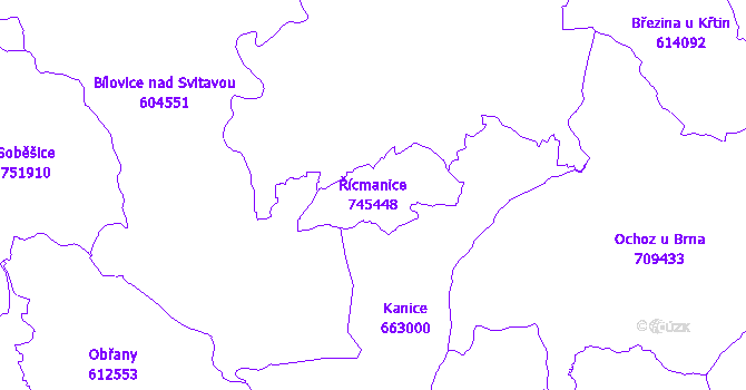 Katastrální mapa Řícmanice - přehledová mapa katastrálního území