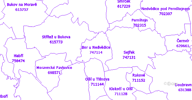 Katastrální mapa Bor u Nedvědice - přehledová mapa katastrálního území