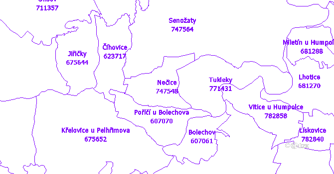 Katastrální mapa Nečice - přehledová mapa katastrálního území