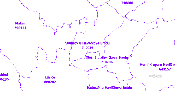 Katastrální mapa Skuhrov u Havlíčkova Brodu - přehledová mapa katastrálního území