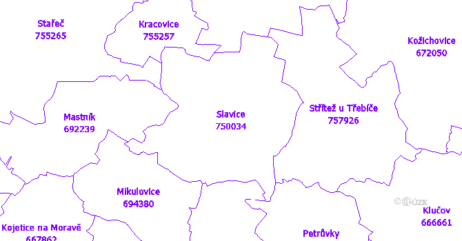 Katastrální mapa Slavice