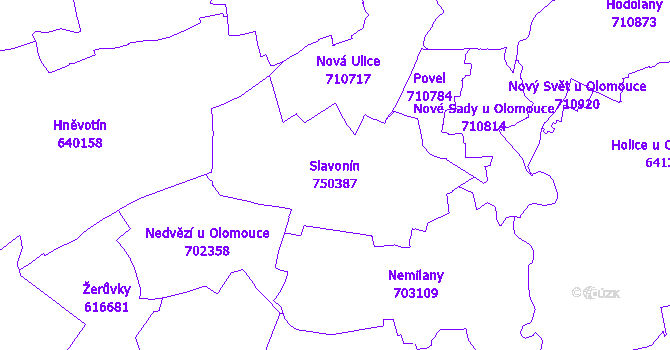Katastrální mapa Slavonín