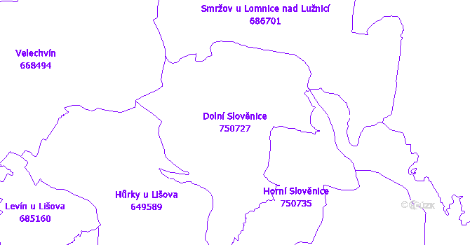 Katastrální mapa Dolní Slověnice - přehledová mapa katastrálního území
