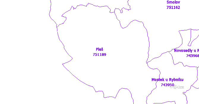Katastrální mapa Pleš - přehledová mapa katastrálního území