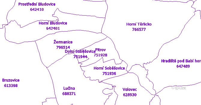 Katastrální mapa Pitrov - přehledová mapa katastrálního území