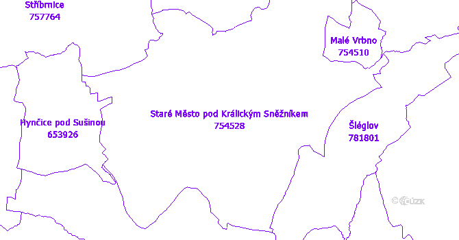 Katastrální mapa Staré Město pod Králickým Sněžníkem - přehledová mapa katastrálního území