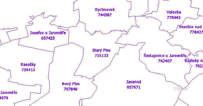 Katastrální mapa Starý Ples - přehledová mapa katastrálního území