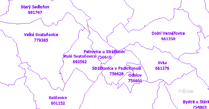 Katastrální mapa Petrovice u Strážkovic - přehledová mapa katastrálního území