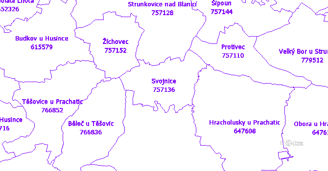 Katastrální mapa Svojnice