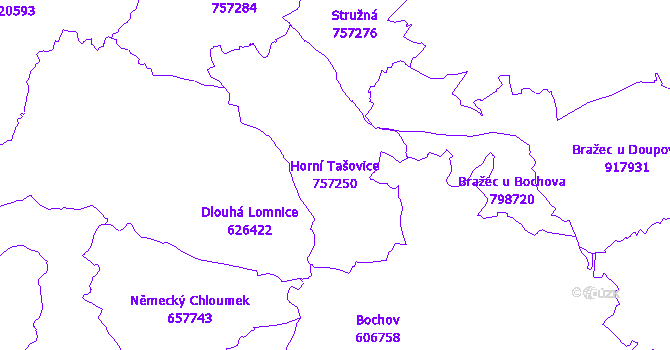 Katastrální mapa Horní Tašovice - přehledová mapa katastrálního území