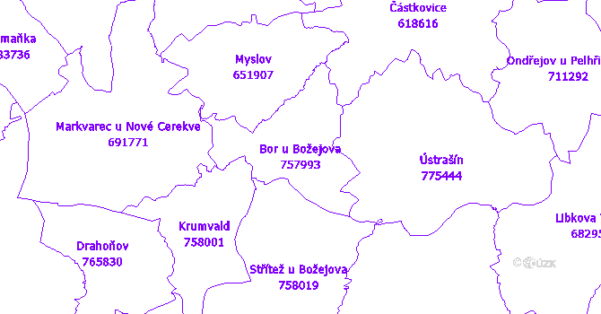 Katastrální mapa Bor u Božejova - přehledová mapa katastrálního území