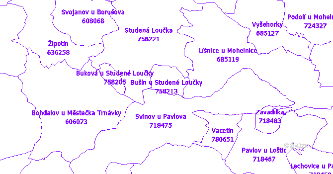 Katastrální mapa Bušín u Studené Loučky - přehledová mapa katastrálního území