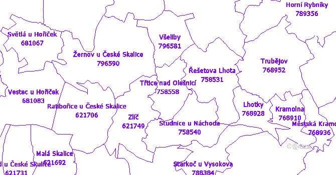 Katastrální mapa Třtice nad Olešnicí