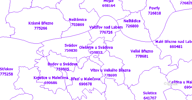Katastrální mapa Olešnice u Svádova - přehledová mapa katastrálního území