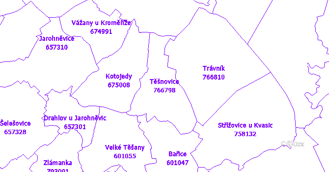 Katastrální mapa Těšnovice