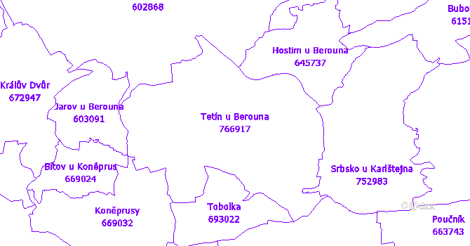 Katastrální mapa Tetín u Berouna - přehledová mapa katastrálního území