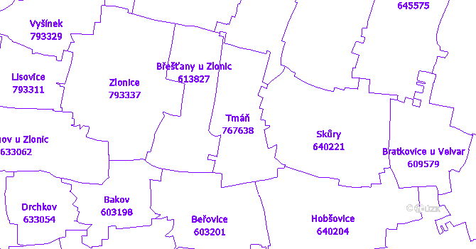 Katastrální mapa Tmáň - přehledová mapa katastrálního území
