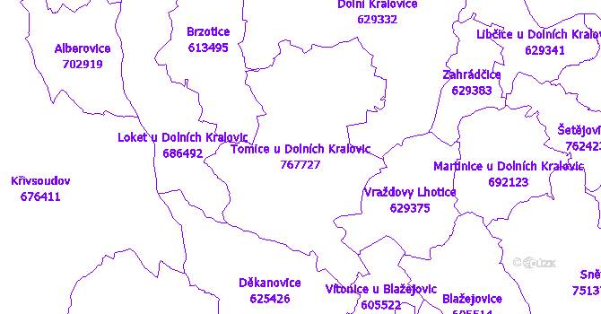 Katastrální mapa Tomice u Dolních Kralovic