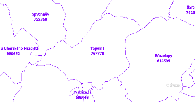 Katastrální mapa Topolná - přehledová mapa katastrálního území