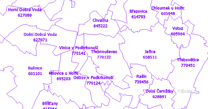 Katastrální mapa Třebnouševes