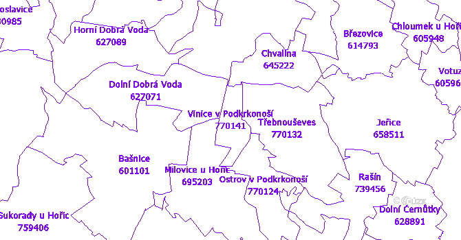 Katastrální mapa Vinice v Podkrkonoší - přehledová mapa katastrálního území