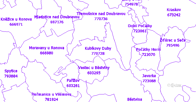 Katastrální mapa Kubíkovy Duby - přehledová mapa katastrálního území