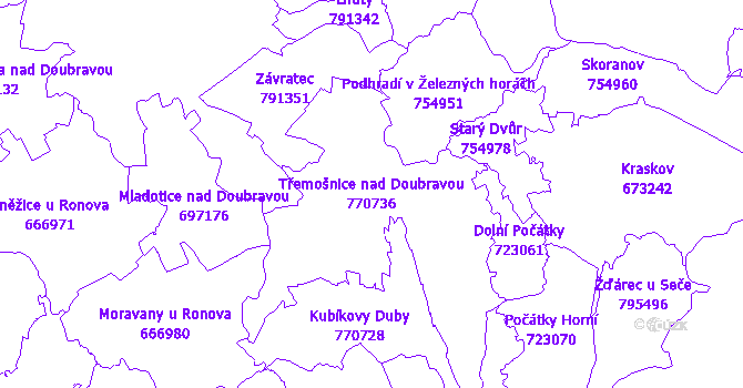 Katastrální mapa Třemošnice nad Doubravou - přehledová mapa katastrálního území