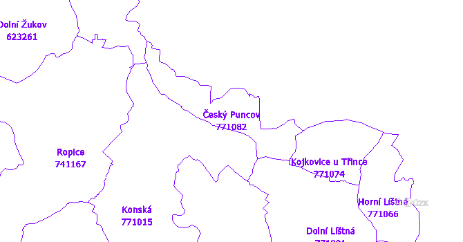 Katastrální mapa Český Puncov - přehledová mapa katastrálního území