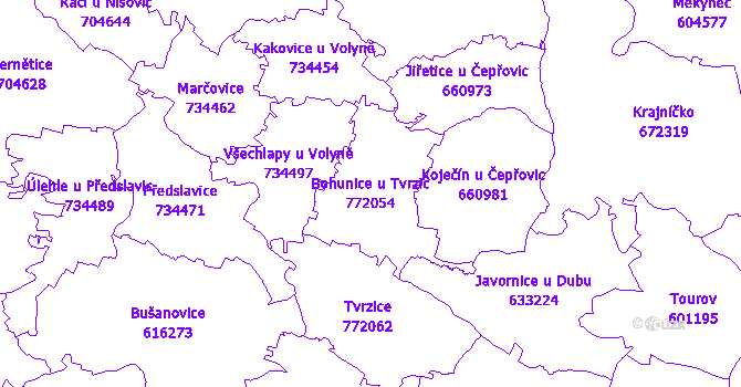 Katastrální mapa Bohunice u Tvrzic