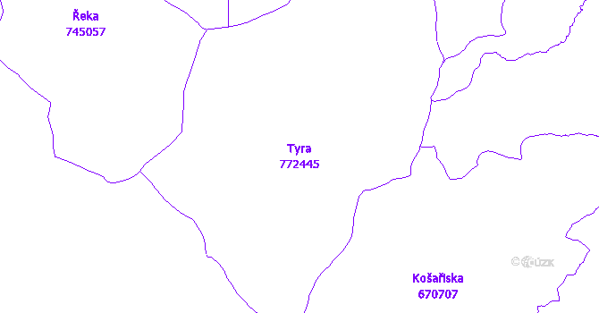 Katastrální mapa Tyra - přehledová mapa katastrálního území