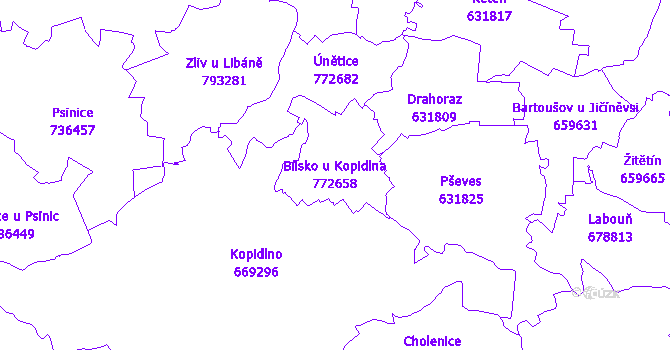 Katastrální mapa Bílsko u Kopidlna - přehledová mapa katastrálního území