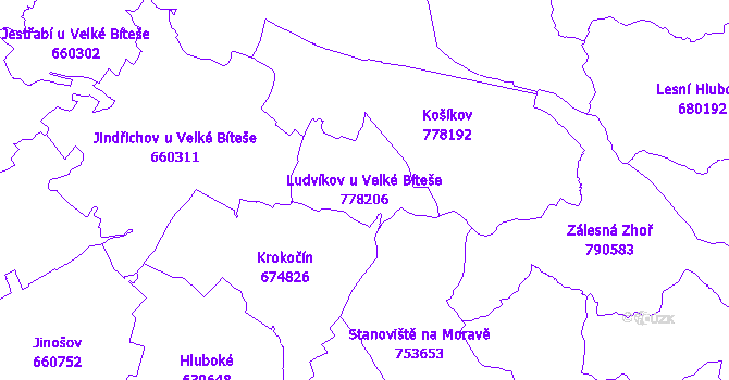 Katastrální mapa Ludvíkov u Velké Bíteše - přehledová mapa katastrálního území