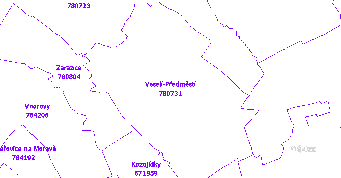 Katastrální mapa Veselí-Předměstí - přehledová mapa katastrálního území