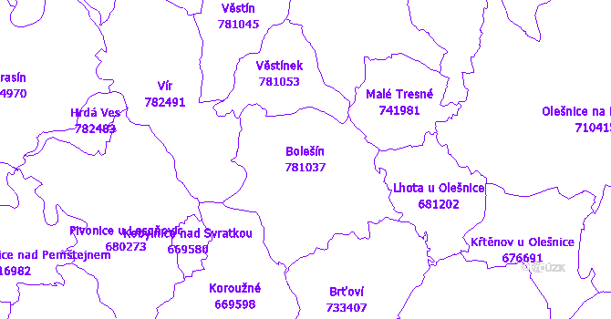 Katastrální mapa Bolešín - přehledová mapa katastrálního území