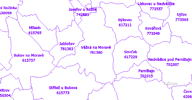 Katastrální mapa Věžná na Moravě - přehledová mapa katastrálního území