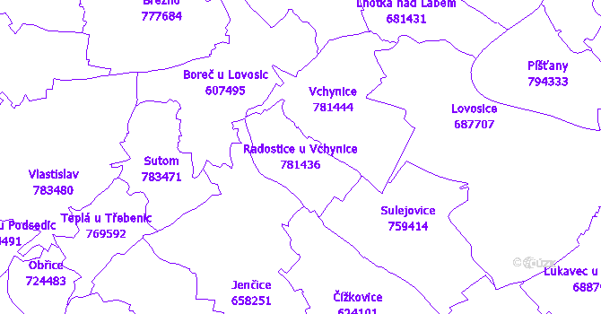 Katastrální mapa Radostice u Vchynice - přehledová mapa katastrálního území