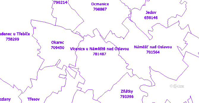 Katastrální mapa Vícenice u Náměště nad Oslavou - přehledová mapa katastrálního území