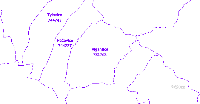 Katastrální mapa Vigantice - přehledová mapa katastrálního území