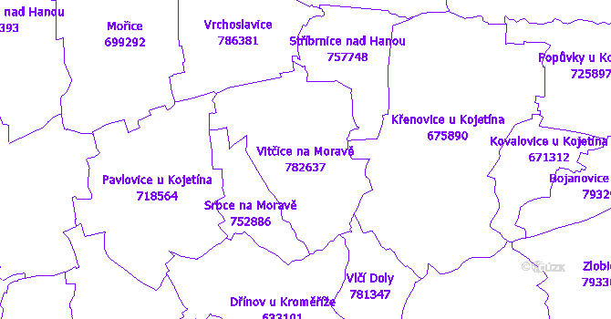 Katastrální mapa Vitčice na Moravě - přehledová mapa katastrálního území