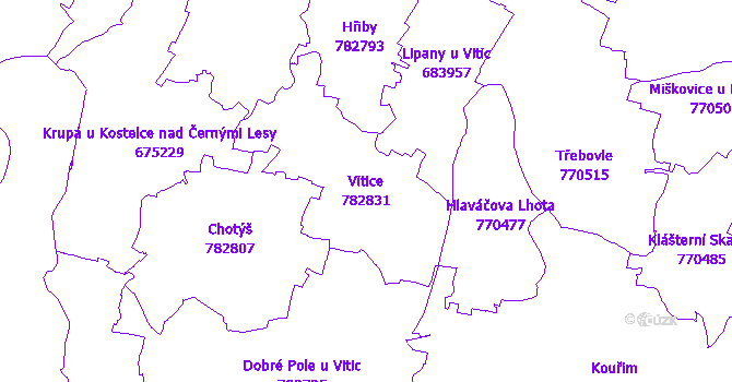 Katastrální mapa Vitice