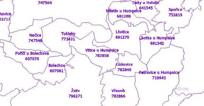 Katastrální mapa Vitice u Humpolce - přehledová mapa katastrálního území