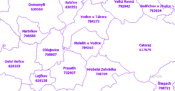 Katastrální mapa Malešín u Vodice