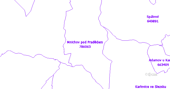 Katastrální mapa Mnichov pod Pradědem - přehledová mapa katastrálního území