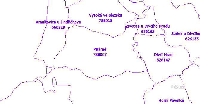 Katastrální mapa Pitárné - přehledová mapa katastrálního území