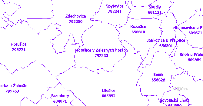 Katastrální mapa Morašice v Železných horách - přehledová mapa katastrálního území