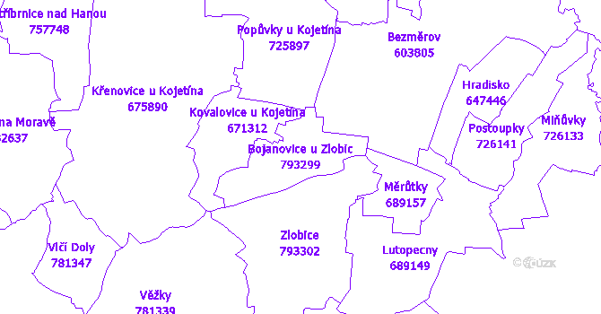 Katastrální mapa Bojanovice u Zlobic - přehledová mapa katastrálního území