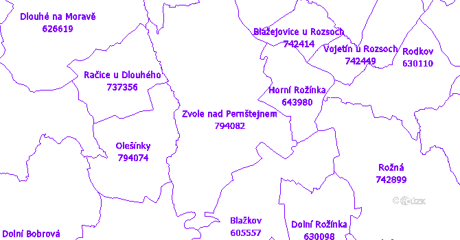 Katastrální mapa Zvole nad Pernštejnem - přehledová mapa katastrálního území