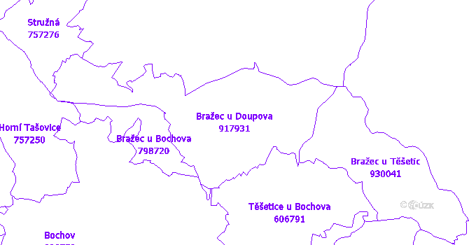Katastrální mapa Bražec u Doupova - přehledová mapa katastrálního území