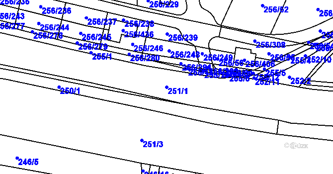 Parcela st. 251/1 v KÚ Adamov u Českých Budějovic, Katastrální mapa